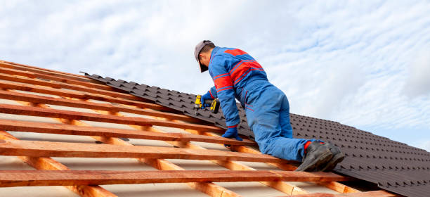 Best Roof Leak Repair  in Coloma, MI